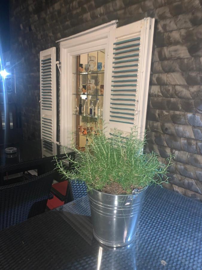 Hotel Friedrich Хахенбург Экстерьер фото